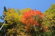 DSC_2395-20141019-512