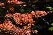 DSC_2400-20141019-512