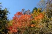 DSC_2402-20141019-512