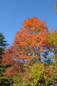 DSC_2406-20141019-512