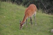 DSC_0442-20100717-512