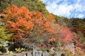 DSC_2501-20141026-512