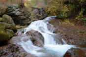 DSC_2554-20141026-512