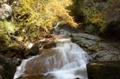 DSC_2570-20141026-512