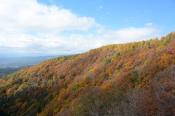 DSC_2586-20141026-512