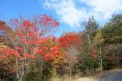 DSC_2589-20141026-512
