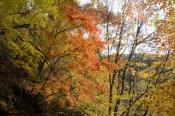 DSC_2598-20141026-512
