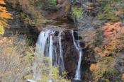 DSC_2616-20141026-512