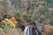 DSC_2620-20141026-512