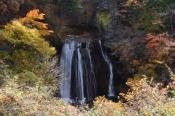 DSC_2629-20141026-512