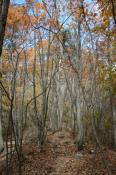 DSC_2634-20141026-512