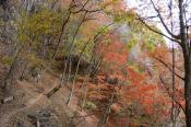 DSC_2636-20141026-512