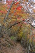 DSC_2641-20141026-512