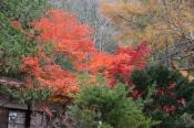 DSC_2689-20141026-512