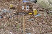 DSC_1304-20110410-512
