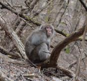 DSC_1312-20110410-512
