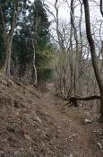 DSC_1314-20110410-512