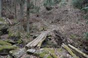 DSC_1319-20110410-512