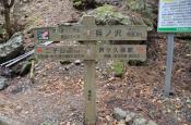 DSC_1323-20110410-512
