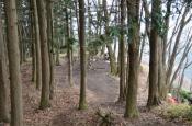 DSC_1362-20110410-512
