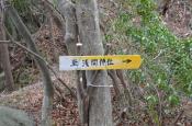 DSC_1366-20110410-512