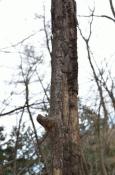 DSC_1375-20110410-512