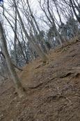DSC_1377-20110410-512