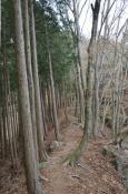 DSC_1378-20110410-512