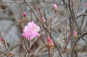 DSC_1381-20110410-512