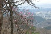 DSC_1382-20110410-512