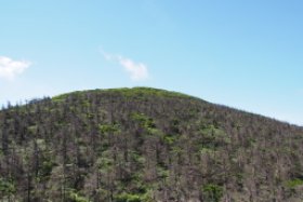 地蔵山