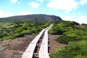 ハイキング道