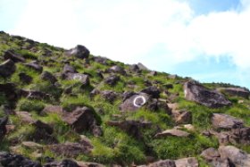登山道