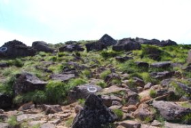 登山道